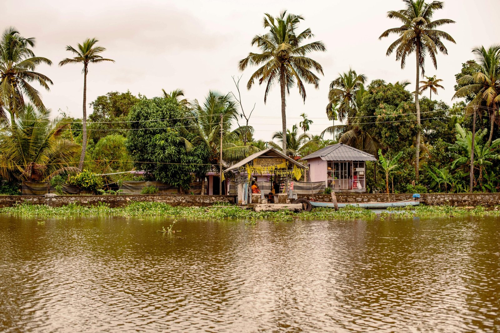 Kerala: The God’s Own Country Travel Tips and Must-Do Activities